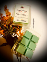 Load image into Gallery viewer, Wax Melts on shells