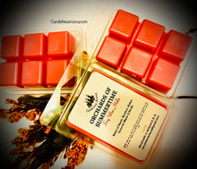 Load image into Gallery viewer, Wax Melts on shells