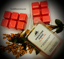 Load image into Gallery viewer, Wax Melts on shells