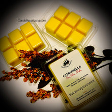 Load image into Gallery viewer, Wax Melts on shells