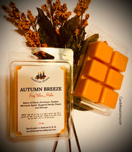 Load image into Gallery viewer, Wax Melts on shells