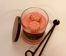 Load image into Gallery viewer, CANDY CANE