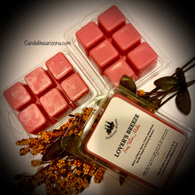 Load image into Gallery viewer, Wax Melts on shells