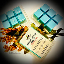 Load image into Gallery viewer, Wax Melts on shells