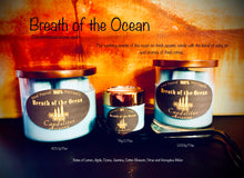 Load image into Gallery viewer, Breath of the Ocean