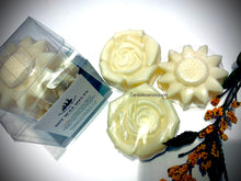 Load image into Gallery viewer, Sparkling Spring Water