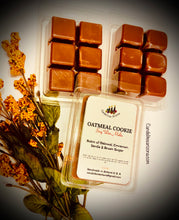 Load image into Gallery viewer, Wax Melts on shells