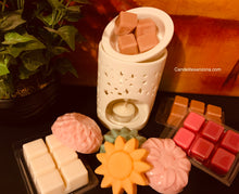 Load image into Gallery viewer, Wax Melts on shells