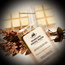 Load image into Gallery viewer, Wax Melts on shells