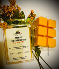 Load image into Gallery viewer, Wax Melts on shells