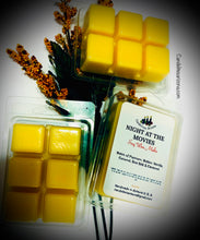 Load image into Gallery viewer, Wax Melts on shells