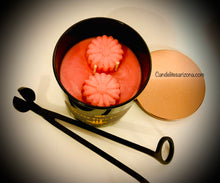 Load image into Gallery viewer, Spring Time Forest