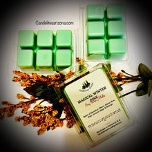 Load image into Gallery viewer, Wax Melts on shells